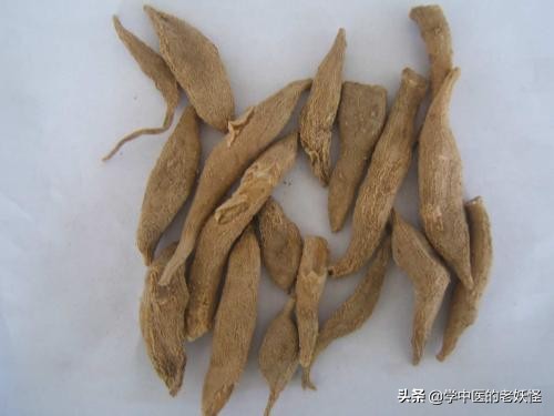 每天学习一味中药——郁金