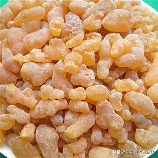 外伤科要药——乳香