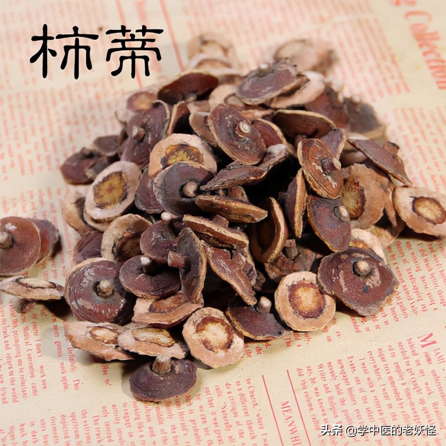 每日学习一味中药——柿蒂