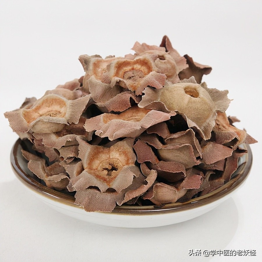 每日学习一味中药——柿蒂