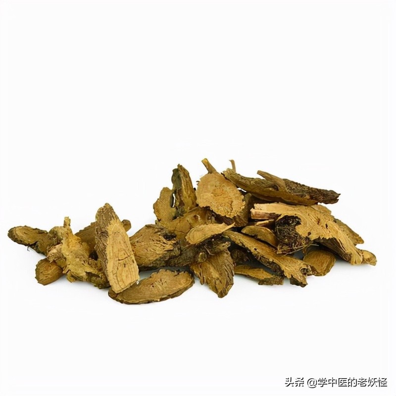 每天学习一味中药——羊蹄