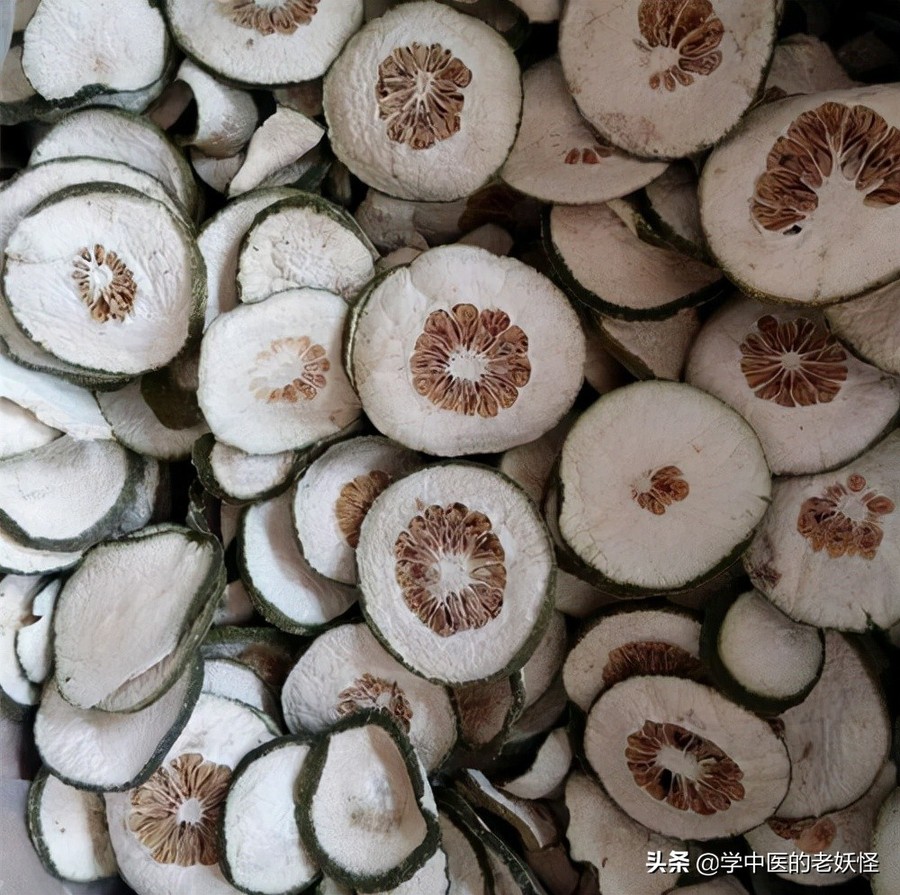每日学习一味中药——香橼