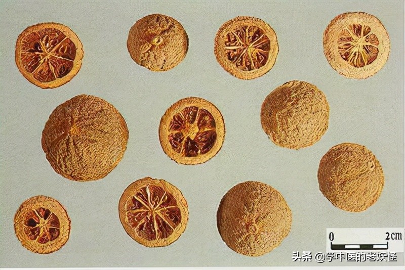 每日学习一味中药——香橼
