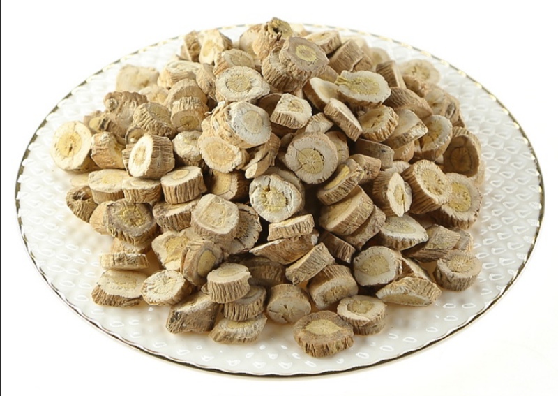 每日学中药——板蓝根